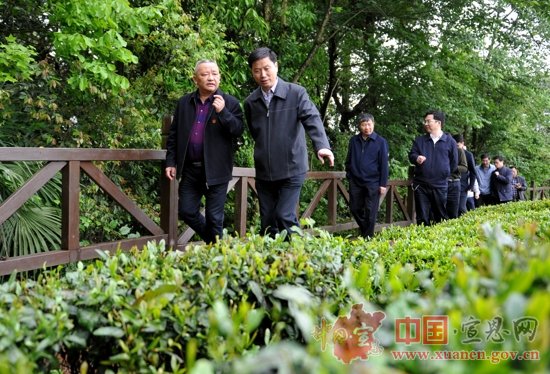  荆州市考察团来宣恩考察茶叶产业发展情况
