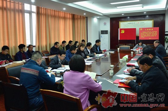 宣恩各级党支部扎实开展“支部主题党日”活动
