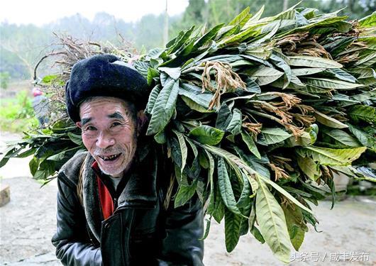 图文：点亮大山的黑夜