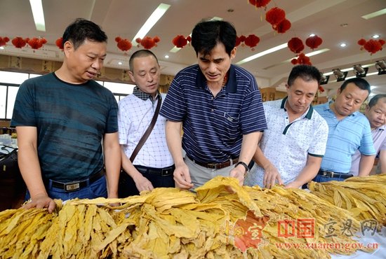 2017年度全州烤烟新烟样品（湖北中烟）审定暨技术研讨会在宣恩召开