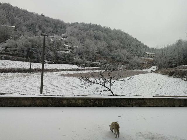 湖北恩施：新一轮冰雪新一轮景象