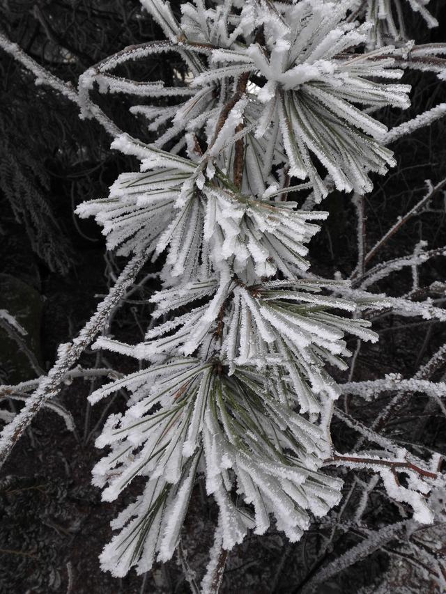 湖北恩施：新一轮冰雪新一轮景象