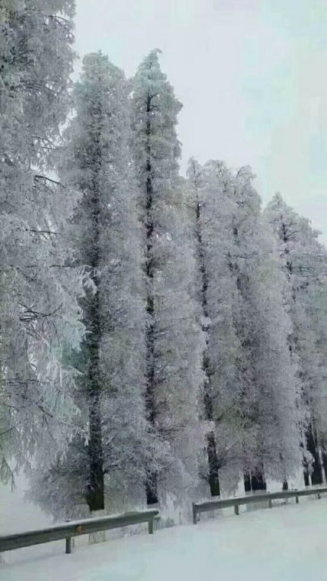 湖北恩施：新一轮冰雪新一轮景象