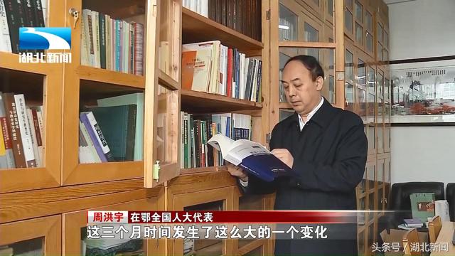 周洪宇：让中小学教师拥有公职身份