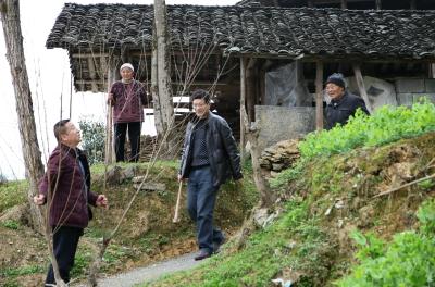 湖北恩施：气象扶贫村里植树忙