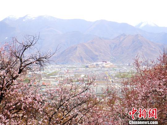 在帕崩岗鸟瞰布达拉宫 江飞波 摄