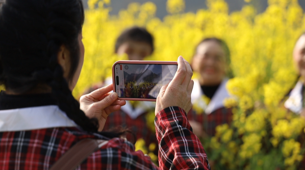 咸丰：千亩花海醉游人 “花海经济”香飘田野