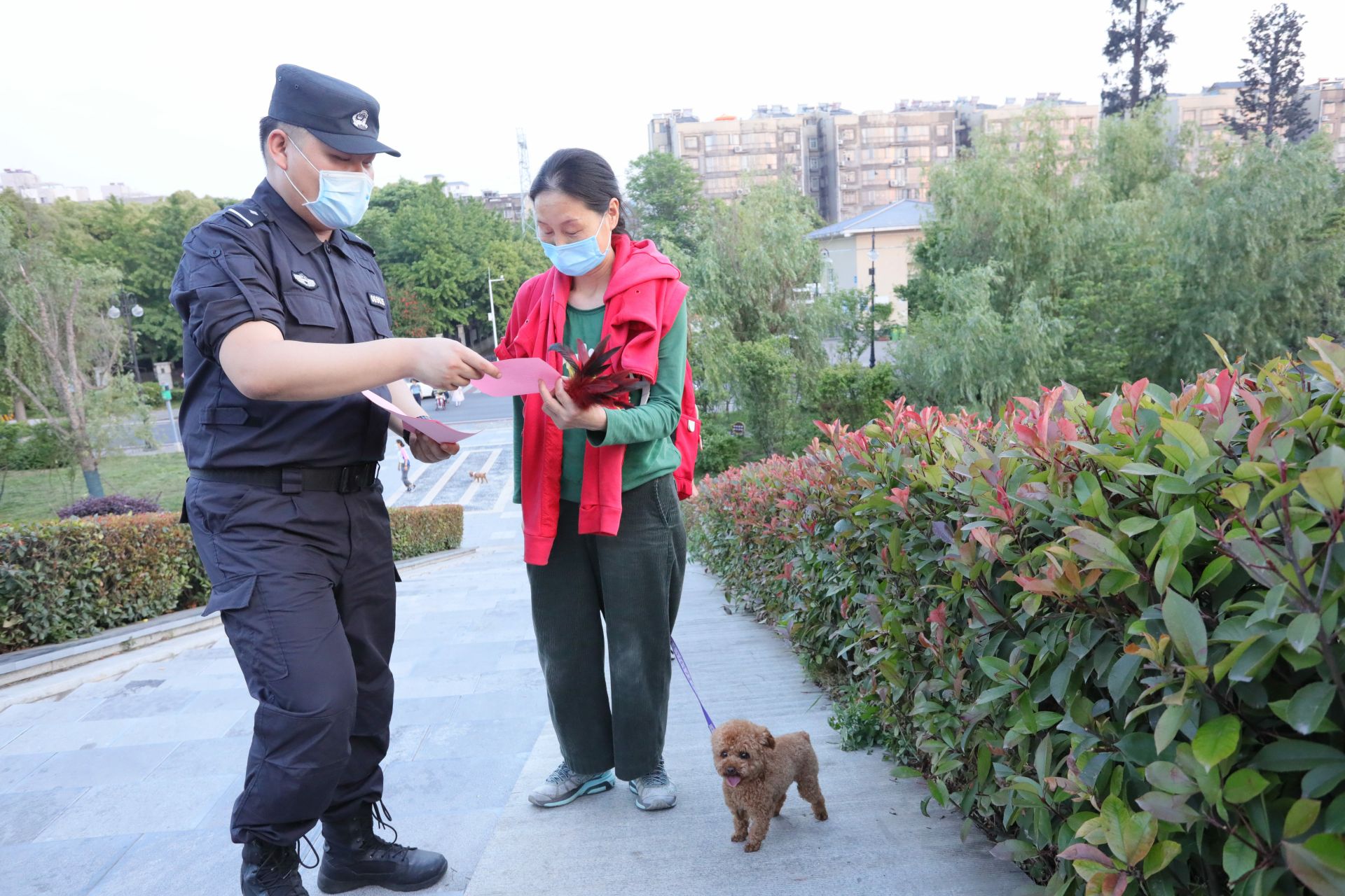 文明养犬劝导员图片图片