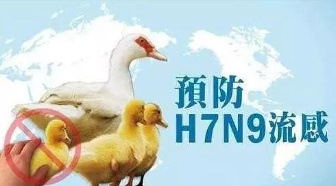 溢水镇：全力防控H7N9疫情