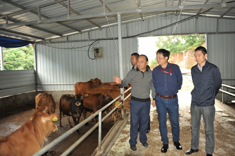 北京专家为我县畜牧业发展把脉开方