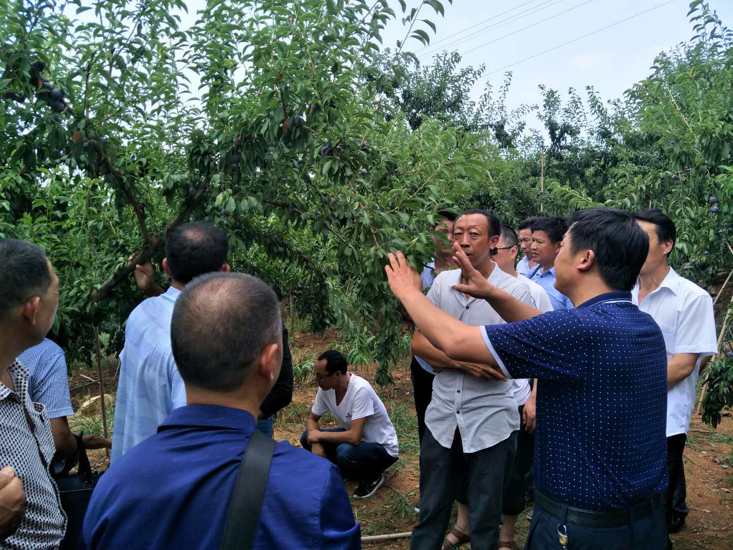 文峰乡东钦村组织群众到宜昌学习扶贫产业技术