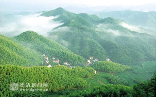 竹山县多措并举创建省级森林城市