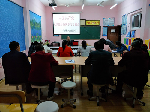 柳林乡公祖小学组织学习新修订的《中国共产党纪律处分条例》