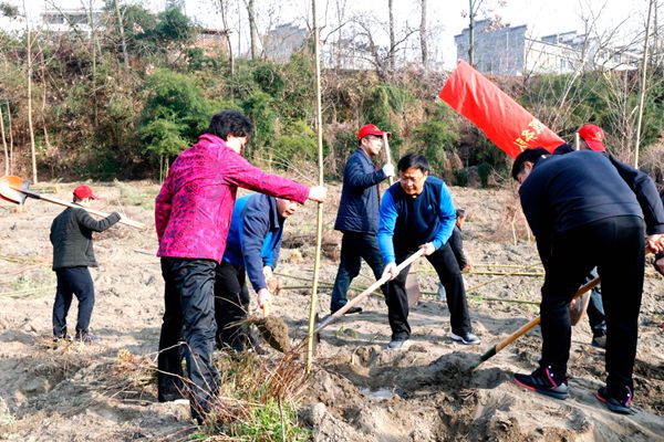 竹山县四大家领导参加义务植树活动 
