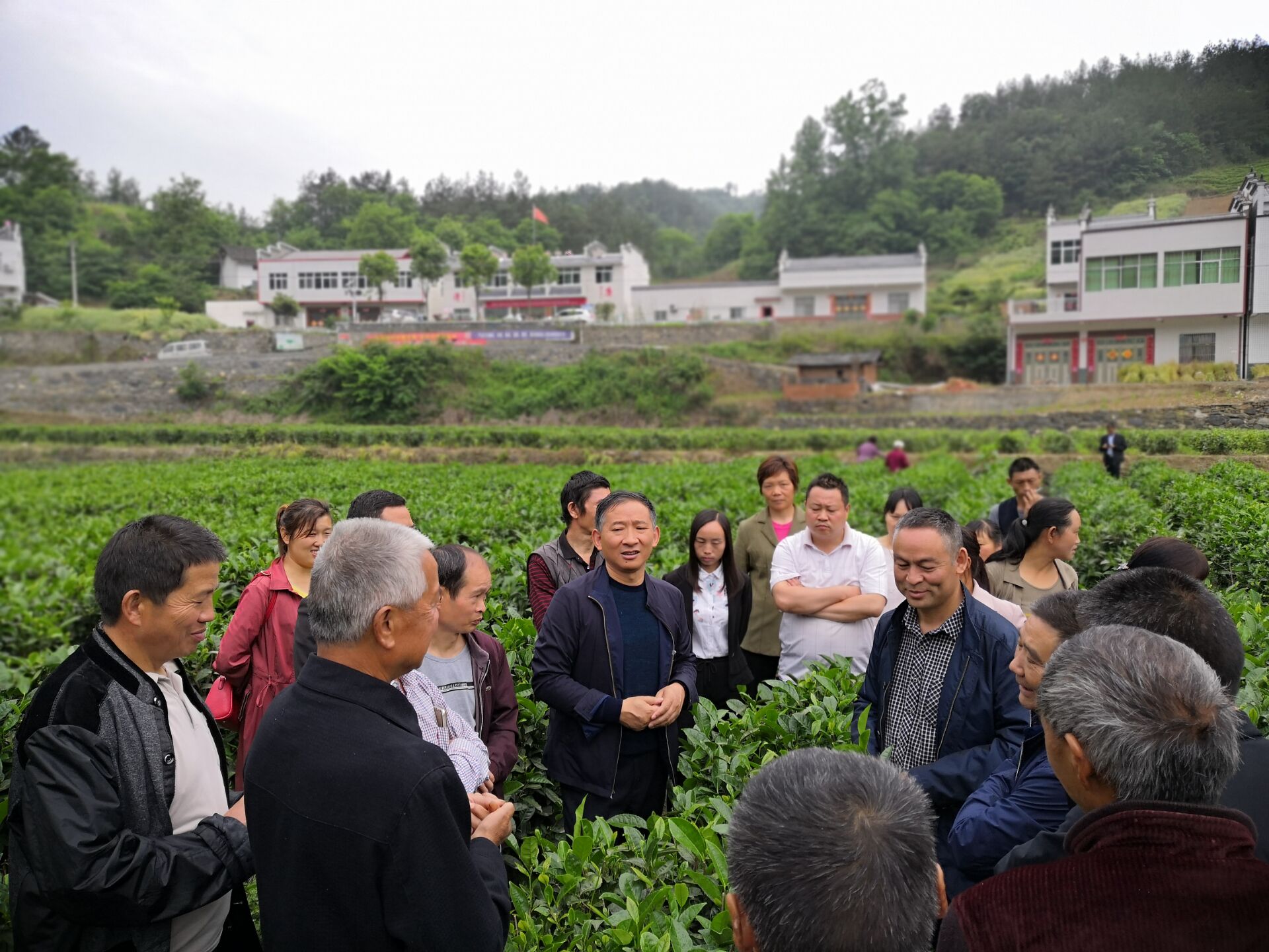 麻家渡镇：开展茶叶产业技术培训 推进农民素质提升