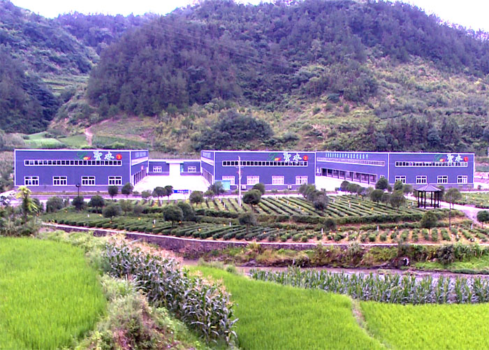 圣水公司竹坪特种茶车间：延伸产业链做大茶产业