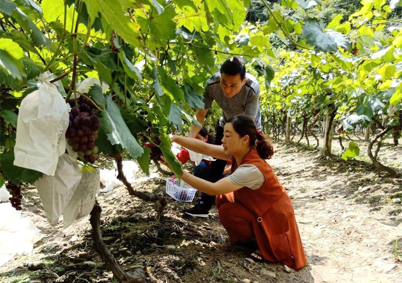 竹山农业农村局：开展休闲农业产品质量安全专项检查