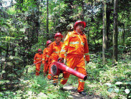 九华山林场加强森林防火力度　确保森林资源安全
