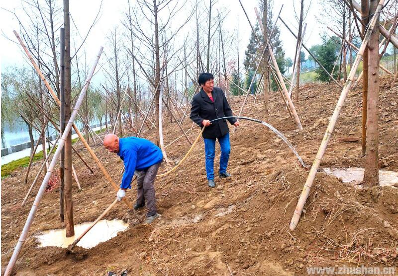 竹山五年完成造林15万亩