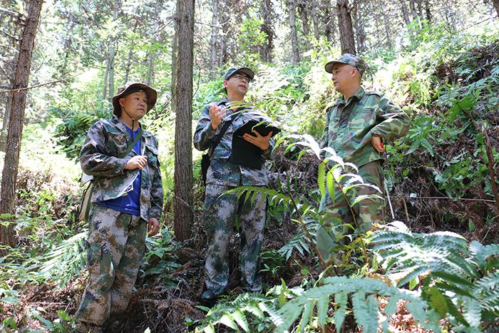 竹山第五次森林资源普查通过省级质量检查验收