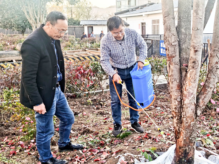 宝丰镇：林业技术员把脉救治红叶石楠