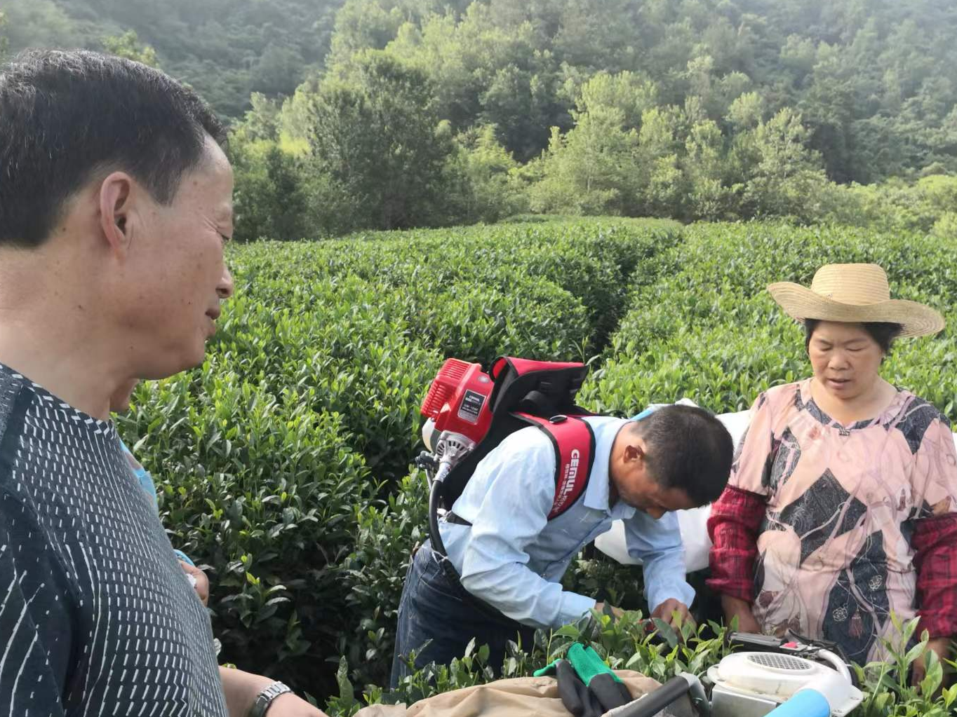 得胜镇：多举措打好机关干部能力作风建设“组合拳”