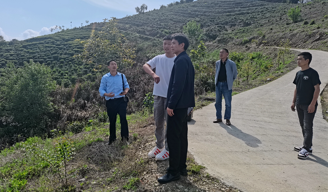 “两竹”林业部门携手联防联治筑牢生态安全屏障