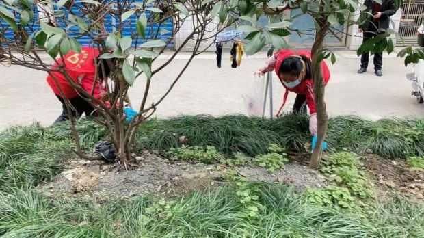微信图片_20220301095124