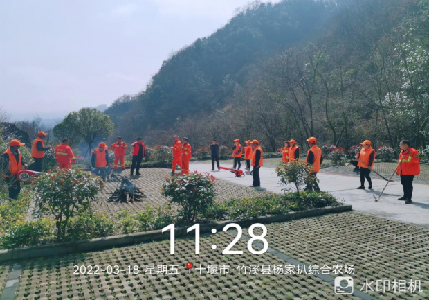 图片2