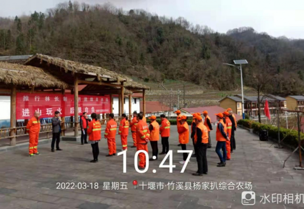 图片1