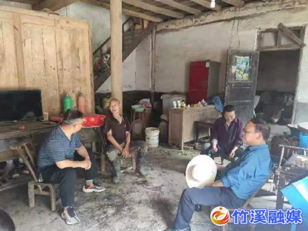 图片3