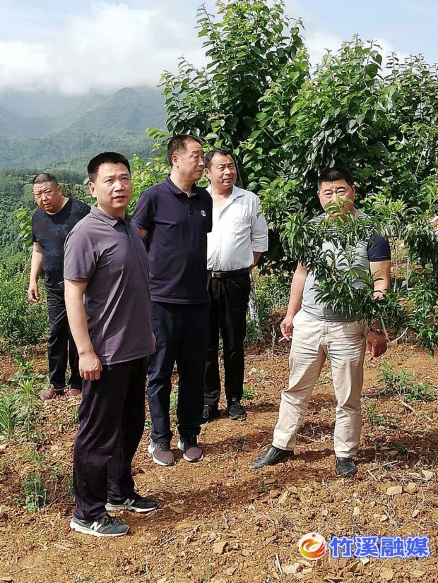 微信图片_20220606144727