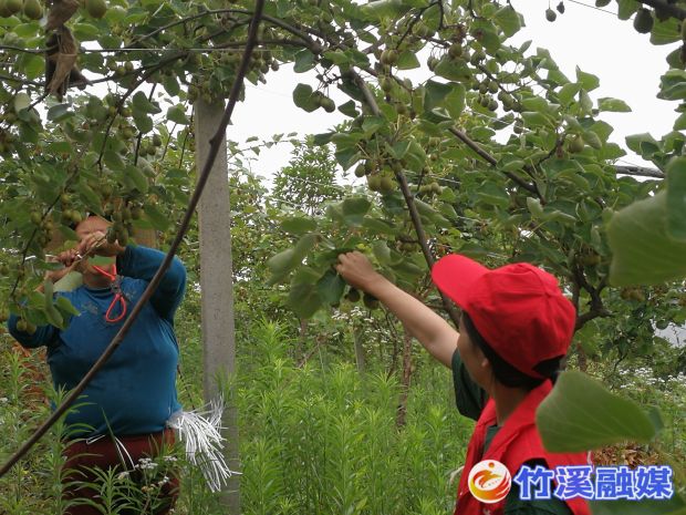 QQ图片20220613094543