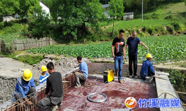 图片3