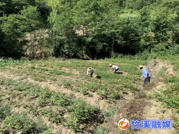 微信图片_20220707100232