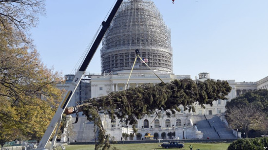 美国国会山点亮圣诞树：高24米挂1万多件装饰物