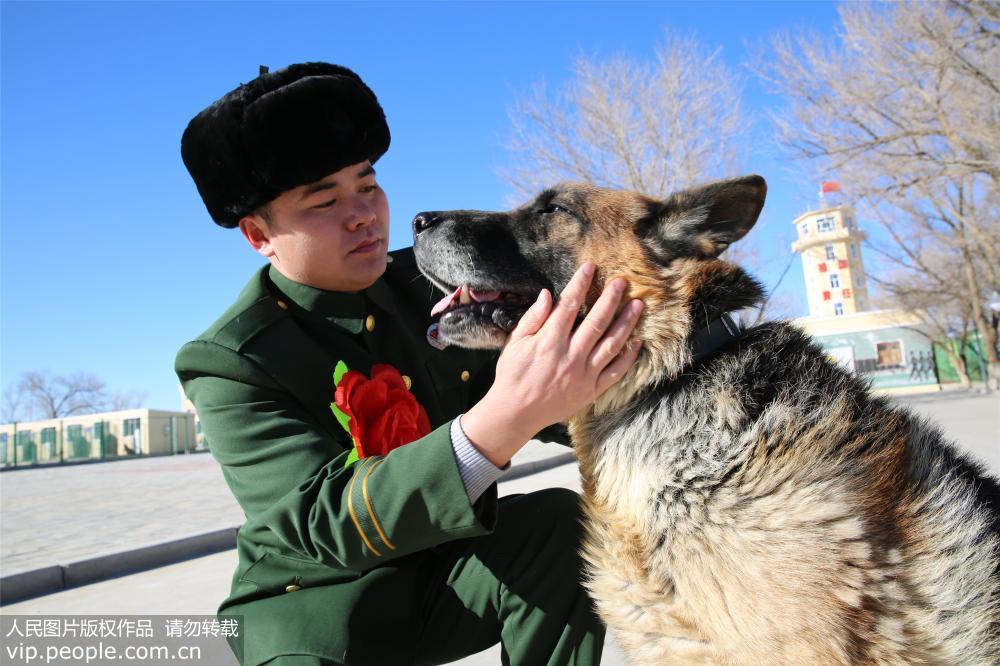 老兵退伍警犬咬行李不放 &ldquo;无言战友&rdquo;重感情【2】