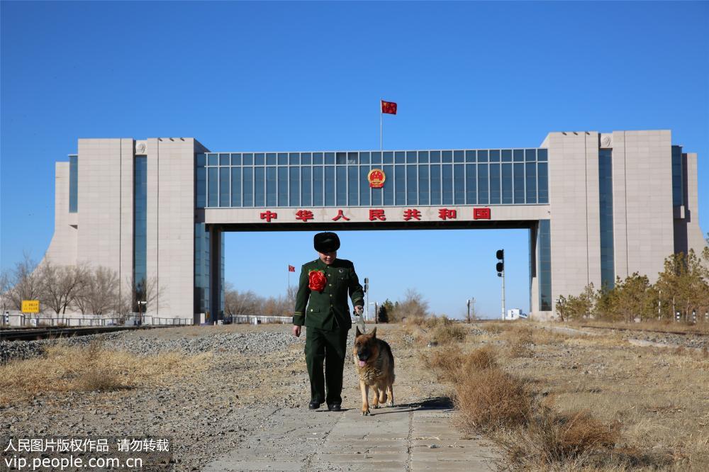 老兵退伍警犬咬行李不放 &ldquo;无言战友&rdquo;重感情