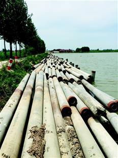 沙市内泊湖5678根水泥桩全拔了 重现水清荷香美景