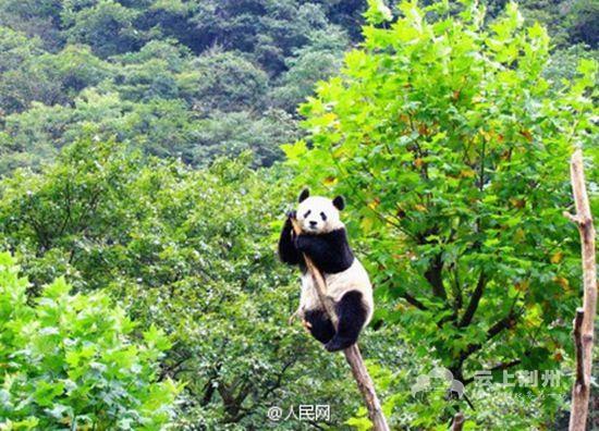 鼓浪屿申遗成功！中国52项世界遗产你了解几个？