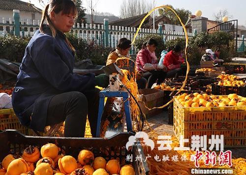 资料图：柿子深加工助力陕西陇县范家营村脱贫。 中新社记者 宋吉河 摄