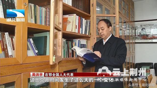 周洪宇：让中小学教师拥有公职身份