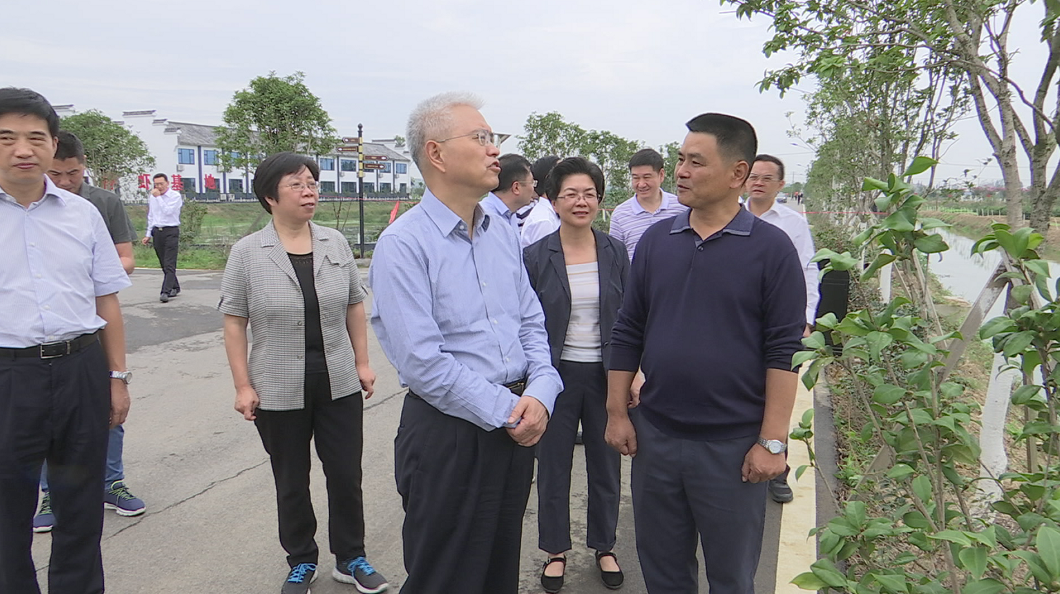 何光中调研江陵县,沙市区乡村振兴工作:不断提升农民群众获得感幸福感