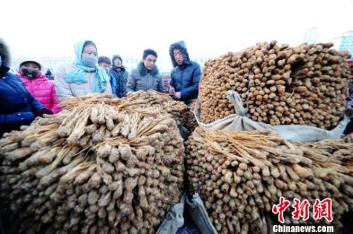 甘肃岷县中国当归城内中药材交易场景。杨艳敏 摄