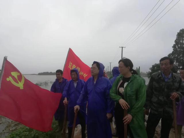 党旗在防汛一线高高飘扬  荆州宣传部广电驻村工作队在行动！