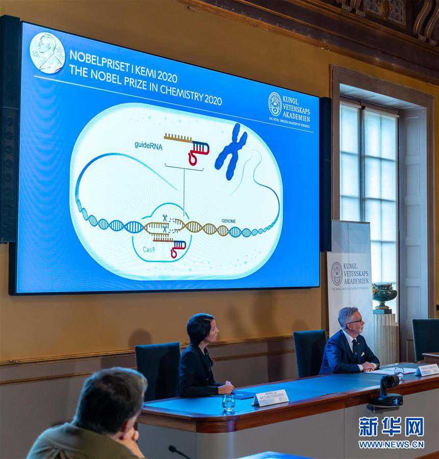 （XHDW）（3）两名女科学家分享2020年诺贝尔化学奖