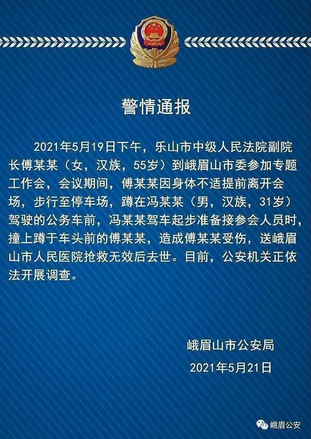 四川一法院副院长蹲在公务车前被撞身亡 警方通报