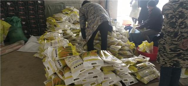 local7aaca6a08ecd4a5c848b884a6b8c820b