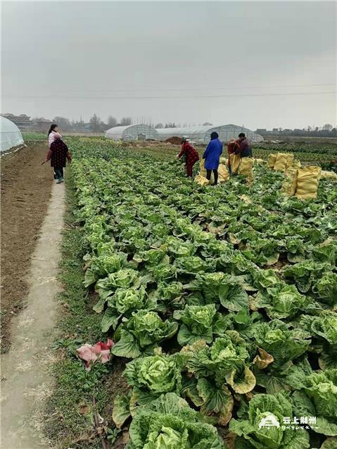 localf914df58836341a5aff55fb022343f3b