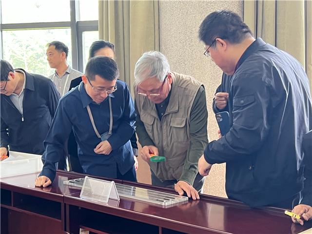 local7252a073840e40f08b8ecc25f3b9796e